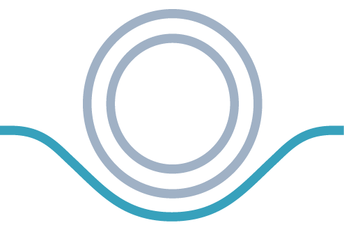 dbv technologies